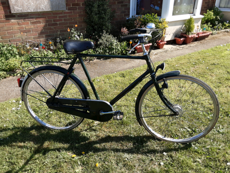 gumtree pashley